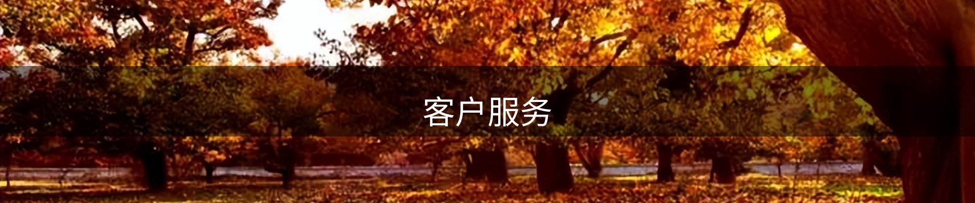 客户服务